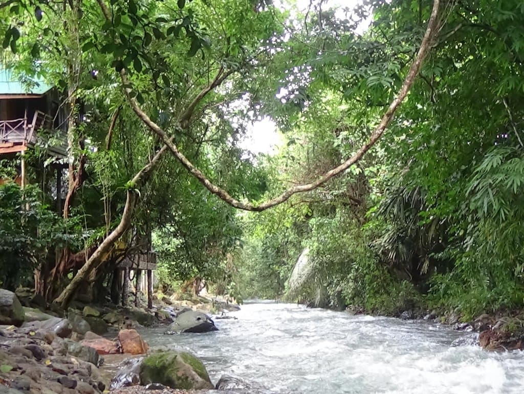 Экскурсия. Канатный маршрут в Паттайе. Полет Тарзана и Tree Top.