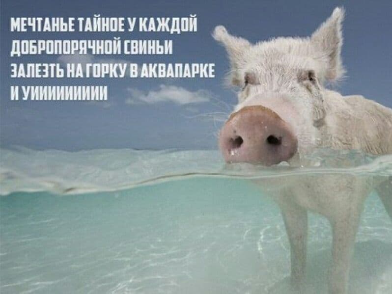 Загадочный Восток: что нужно знать туристу, отправляясь на отдых в Таиланд.