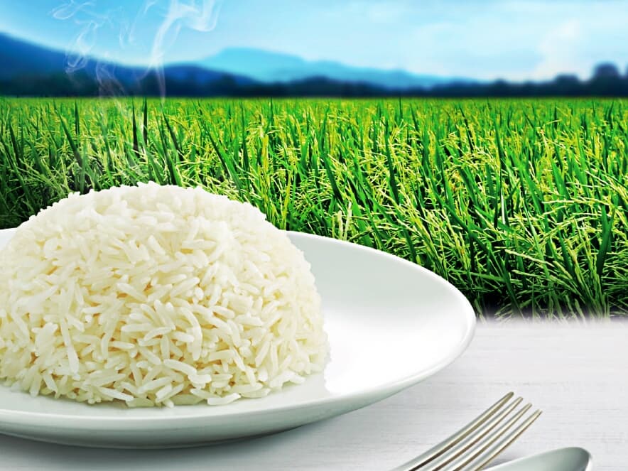 Тайланд. Новости: В очередной раз рис хом-мали стал лучшим в мире.