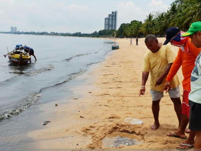 Тайланд. Новости: Экологический кризис на пляже Банг-Сарай в Паттайе.