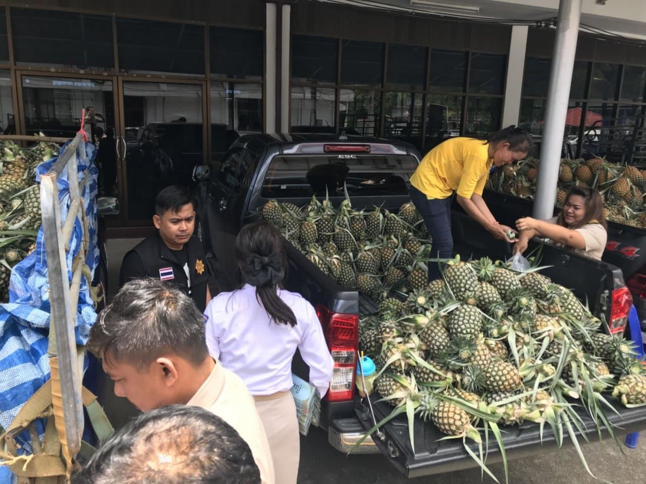 Тайланд. Новости: PTT разрешил фермерам продавать ананасы на своих заправках.