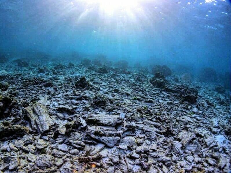 В Таиланде вновь откроется для туристов знаменитый остров Ко Тачай.