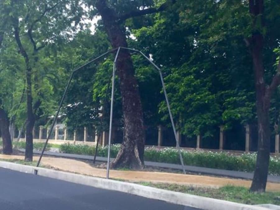 Власти Бангкока поставили поврежденные деревья на металлические костыли.