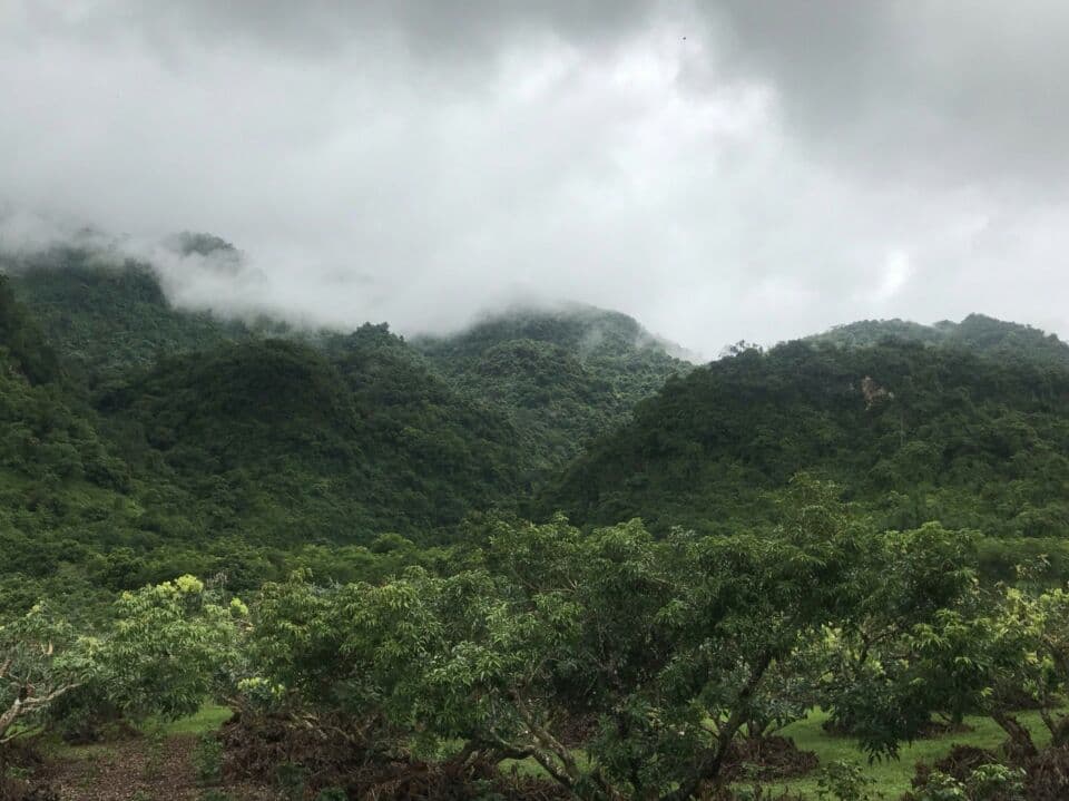 Тайланд. Новости: Тайские власти решили подзаработать на пещере Там-Луанг.