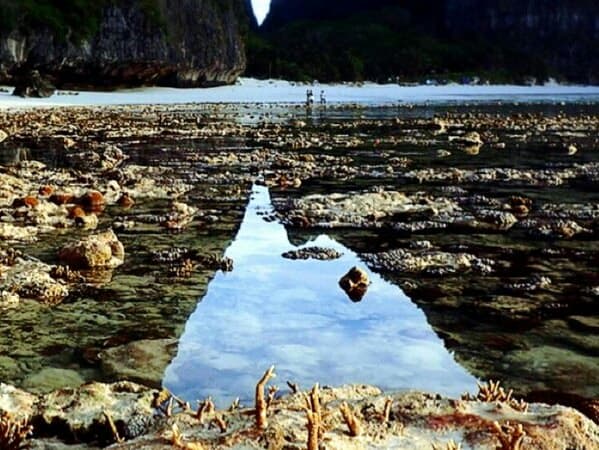 Открытие бухты Майя всё ещё под вопросом, хотя кораллы подают признаки жизни. Открытие бухты Майя всё ещё под вопросом, хотя кораллы подают признаки жизни.