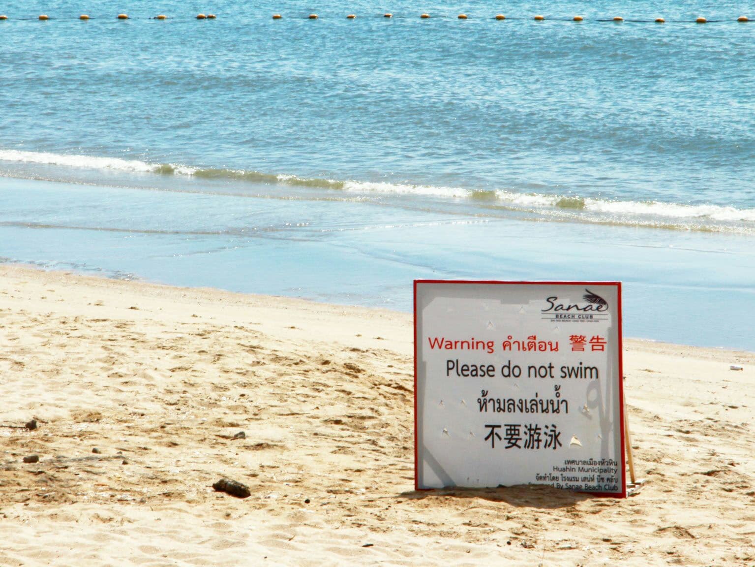 Сеть для защиты от мегалодона начали устанавливать в Хуа-Хине.