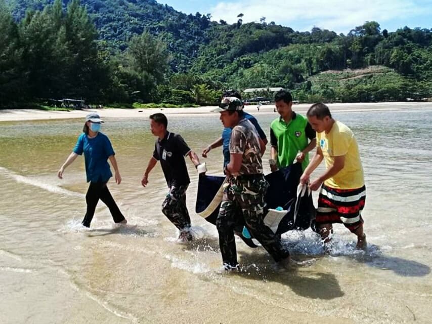 Спасенный на Пхукете дельфин отрыгнул кусочки пластика.