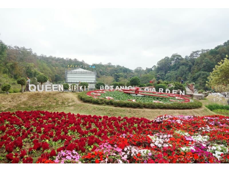 В Чанг-Мае открылся Ботанический фестиваль 2019. В Чанг-Мае открылся Ботанический фестиваль 2019.