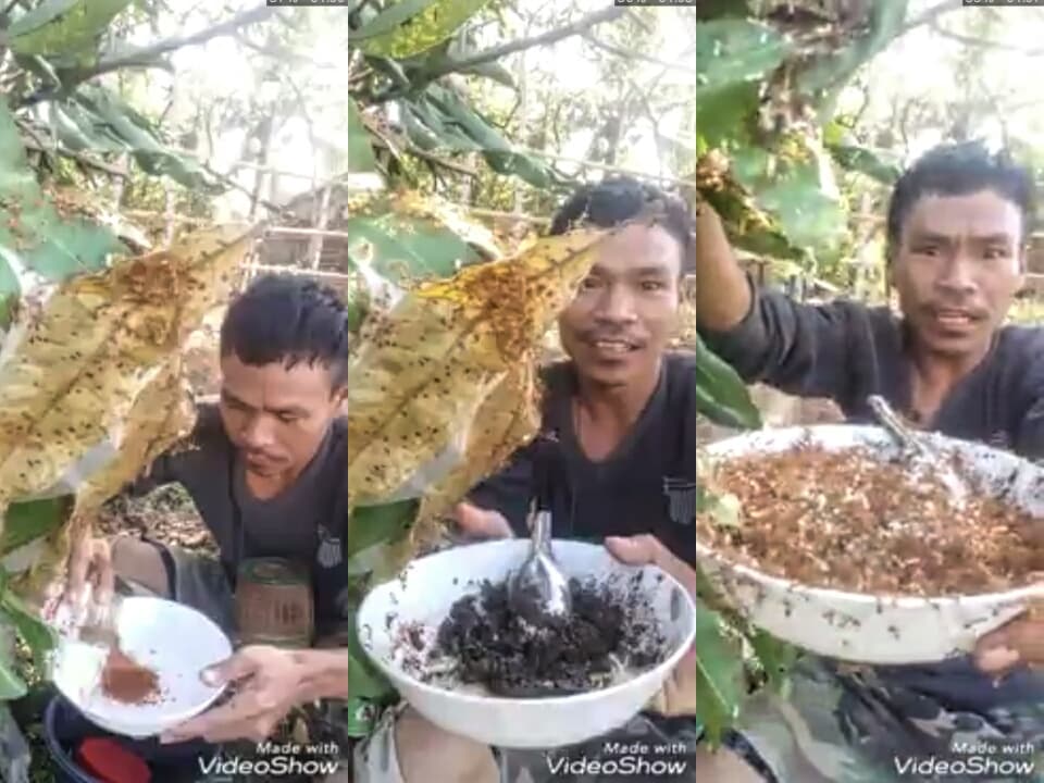 Тайланд. Новости: Парень съел муравьиные яйца ради просмотров в Facebook. Тайланд. Новости: Парень съел муравьиные яйца ради просмотров в Facebook.