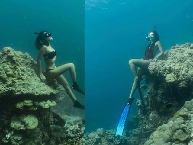 Тайланд. Новости: Туристы, сидящие на кораллах, заставили DNP обсудить защиту заповедников.