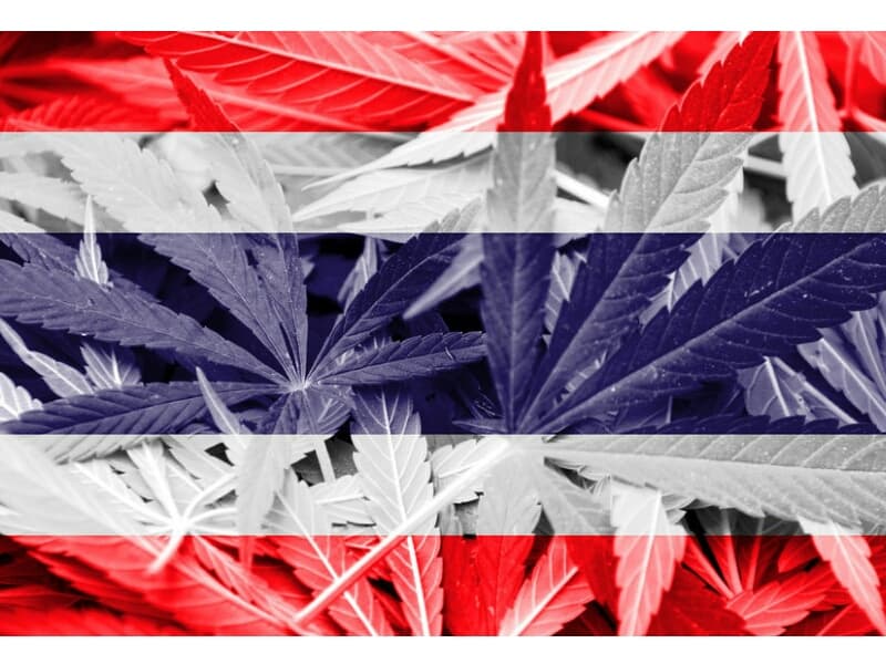 Выращивание марихуаны будет под строгим контролем государства. Выращивание марихуаны будет под строгим контролем государства.