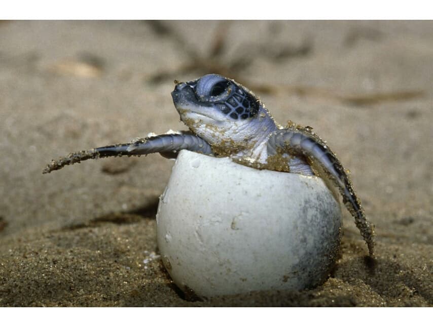 С октября самые дешёвые сигареты в Таиланде будут стоить 93 бата. С октября самые дешёвые сигареты в Таиланде будут стоить 93 бата.