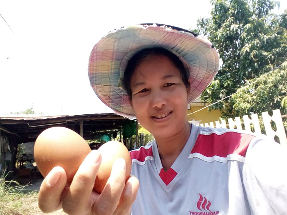 Из-за испепеляющей жары на севере Таиланда яйца жарят без огня.