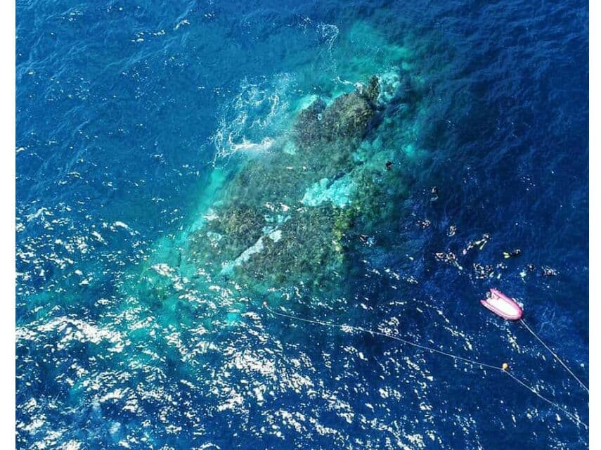 У побережья Районга начали выцветать крупные коралловые рифы.