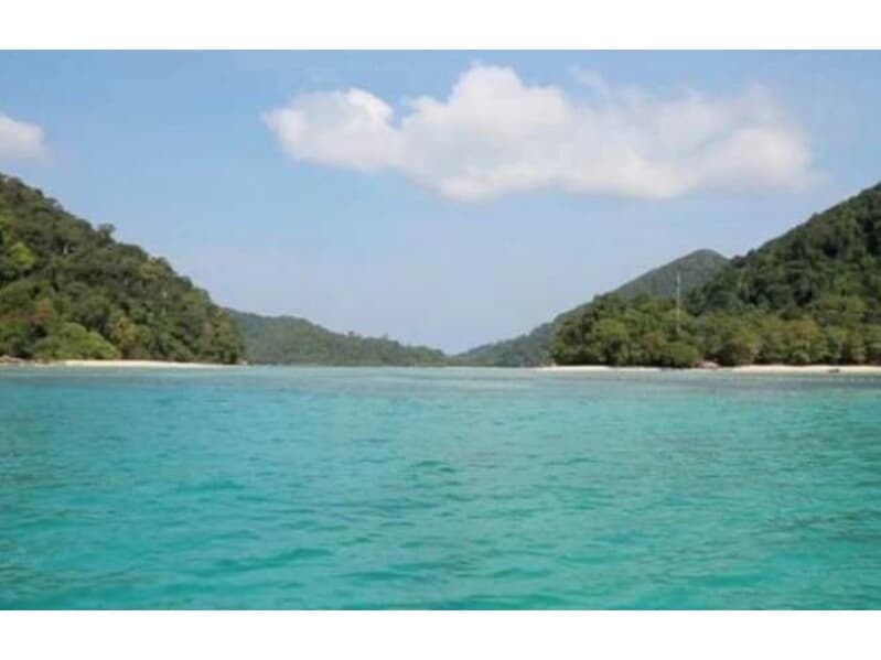 DNP объявил о временном закрытии заповедников по всему Таиланду.