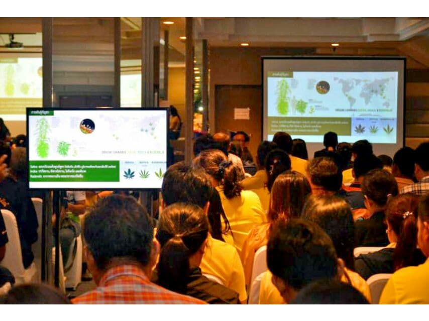 5000 жителей Бурирама подтвердили владение медицинской марихуаной.