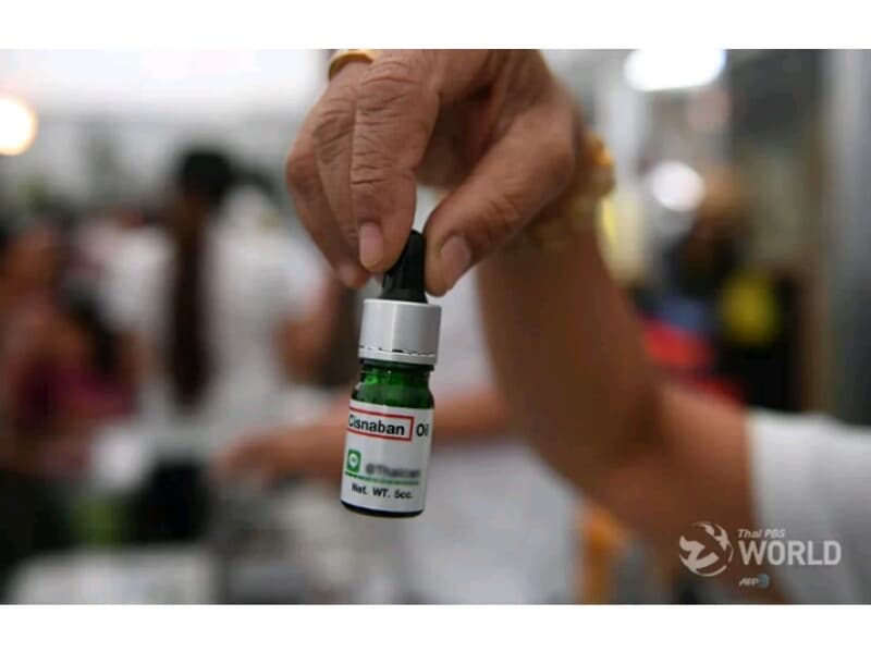 Масло марихуаны может помочь пациентам на крайней стадии инфекции ВИЧ.