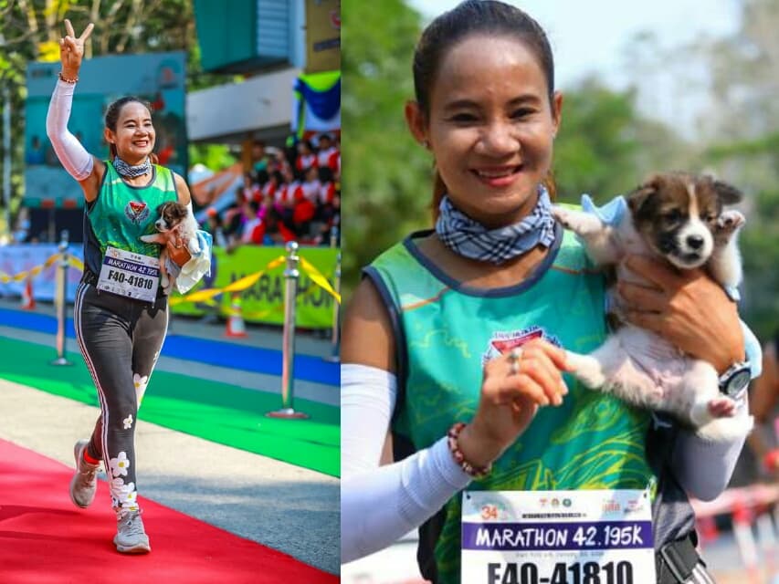 Бездомный щенок, спасённый во время марафона, превратился в 18-килограммового богатыря.