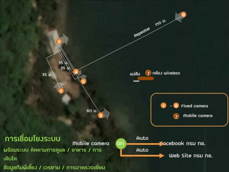 Таиланд запустил круглосуточную трансляцию с осиротевшим детёнышем морской коровы.