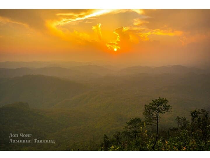 В Таиланде создадут 22 новых заповедника.