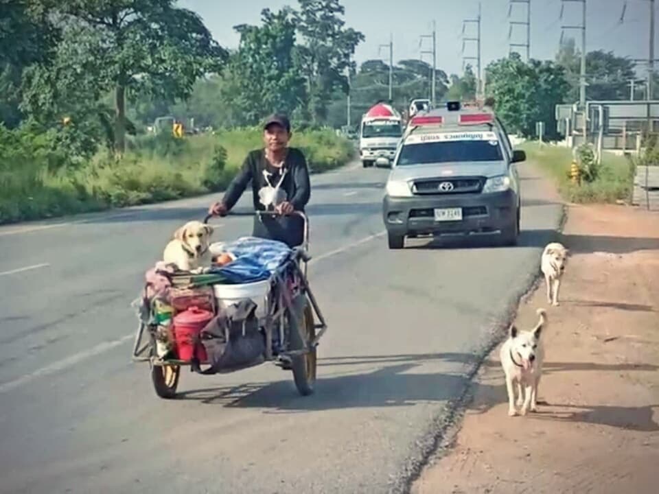 Скорбящий таец возит прах своей жены по всем местам, где она хотела побывать.
