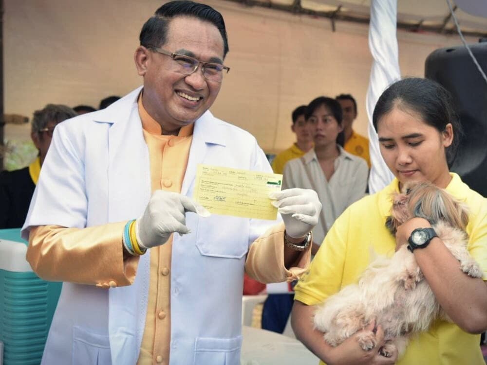 К 2020 г. в Таиланде стерилизуют 600'000 бездомных котов и собак.