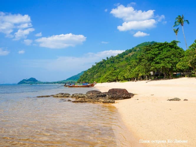 Возле острова Ко-Либонг обнаружено тело китовой акулы.