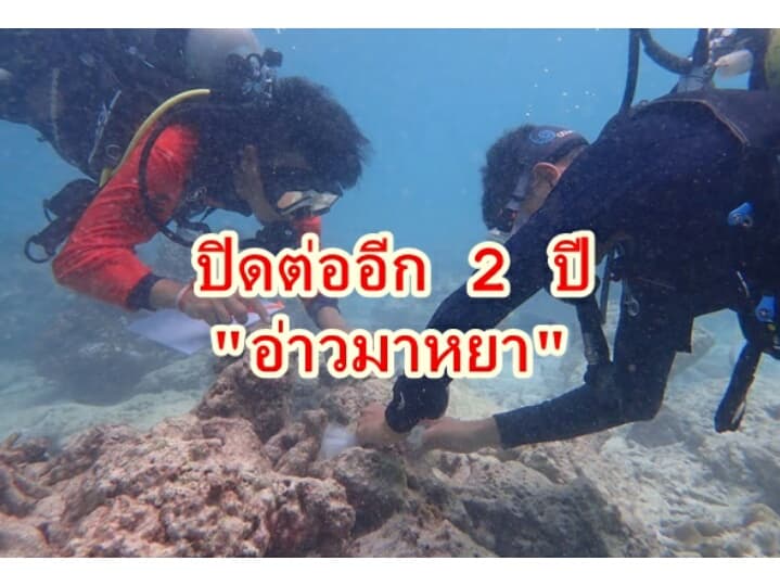 Бухта Майя будет закрыта для туристов до конца 2021 года.