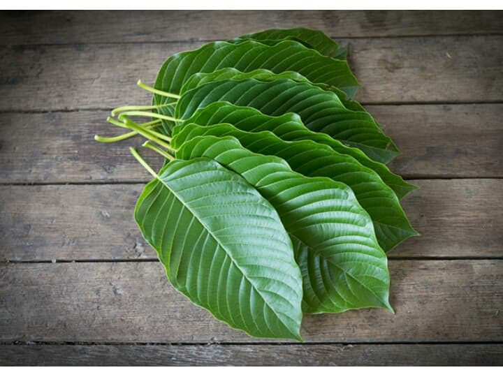 Таиланд всё же исключил кратом из списка наркотиков.