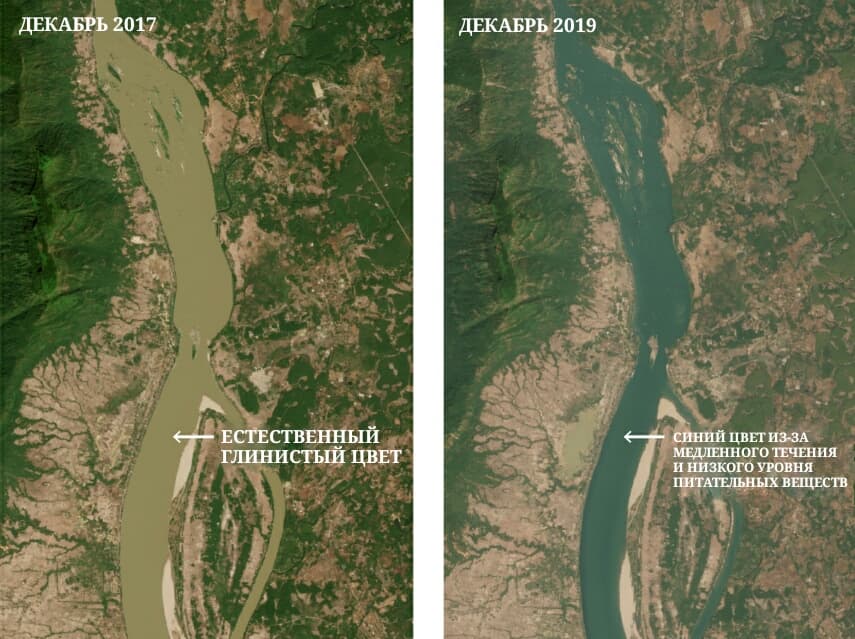 Река Меконг сменила цвет с коричневого на синий и заросла зелёными водорослями.