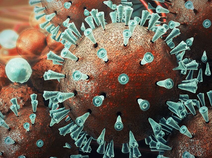 Лекарство от ВИЧ помогло тайским медикам уничтожить коронавирус.