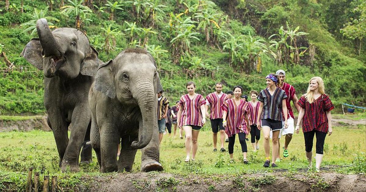 Природа в Таиланде