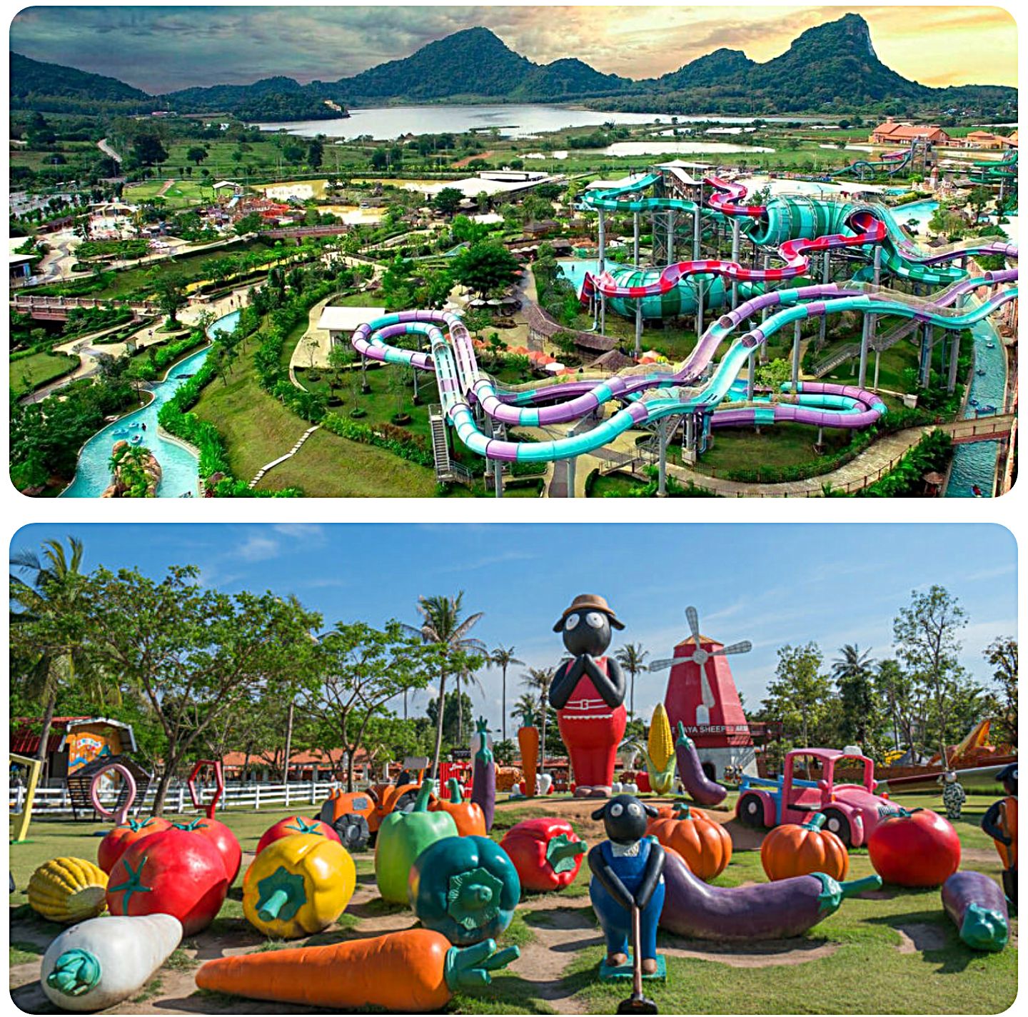 Аквапарк, Овцеферма