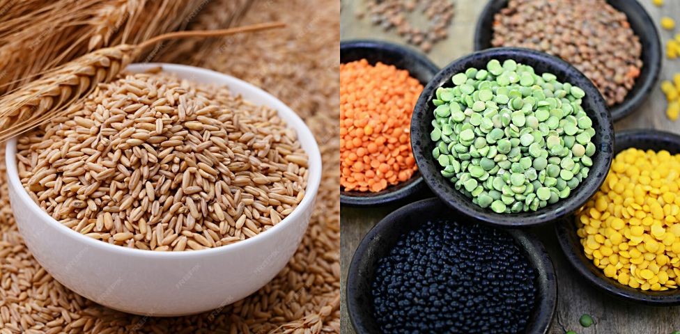 Замены рису: ячмень и чечевица