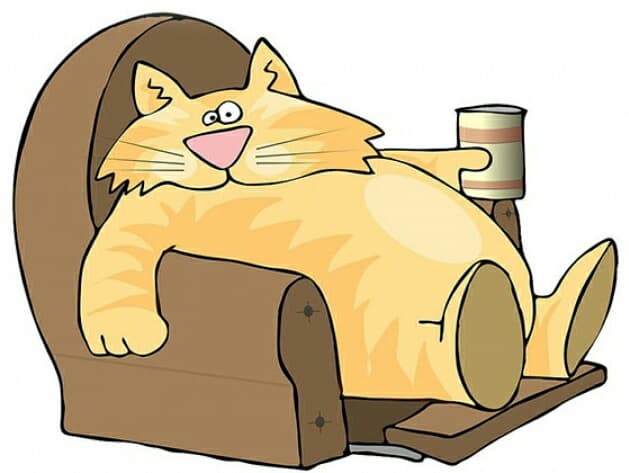 14 часов в сутки тайцы ничего не делают физически.