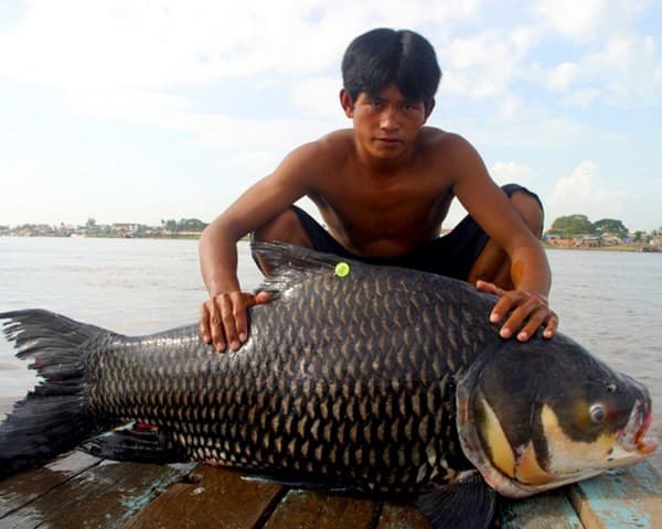 Озерная рыбалка из Паттайи на 