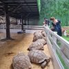 Контактный зоопарк «Аквариум монстров»