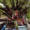 Большая обзорная экскурсия по Бангкоку — фотогалерея 01