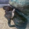 Детские приключения — фотогалерея 01