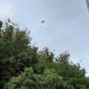 Джунгли Тур — фотогалерея 01