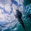 Гидроциклы Паттайя — фотогалерея 02