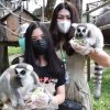 Кхао Кхео VIP и остров лемуров — фотогалерея 02