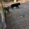 Квай Сафари и Каньон — фотогалерея 01