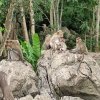 Логово Дракона — фотогалерея 03