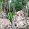 Логово Дракона — фотогалерея 03
