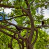 Новый вечерний Бангкок — фото 6