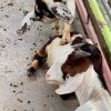 Сокровища Чонбури — фото 5
