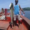 2018 Морская рыбалка в в Паттайе.