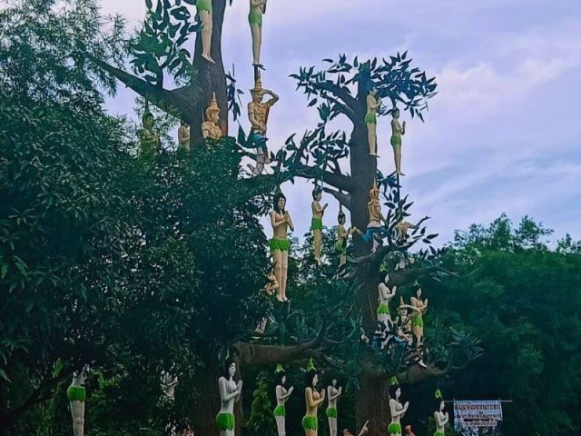 Dragon-Lair-Excursion-to-Pattaya