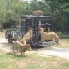 Сафари парк (Safari Park).
